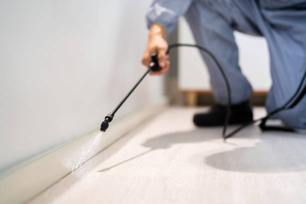 Licensed Rodent Control service in Stevenson Ranch, CA - Nex Pest Control