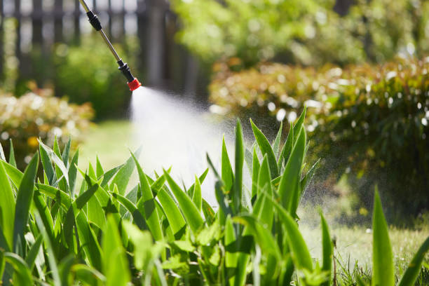 24/7 Emergency Rodent Control experts in Stevenson Ranch, CA