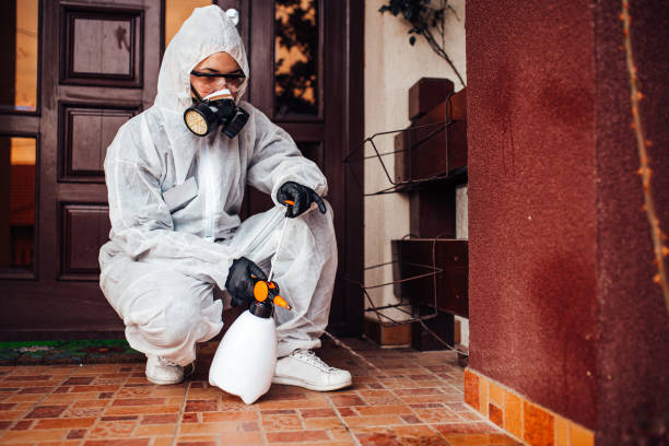Reliable Rodent Control contractor in Stevenson Ranch, CA by Nex Pest Control